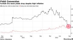 江苏配资平台-政府干预下土耳其债市日益扭曲里拉债券与美元债券收益率几乎持平
